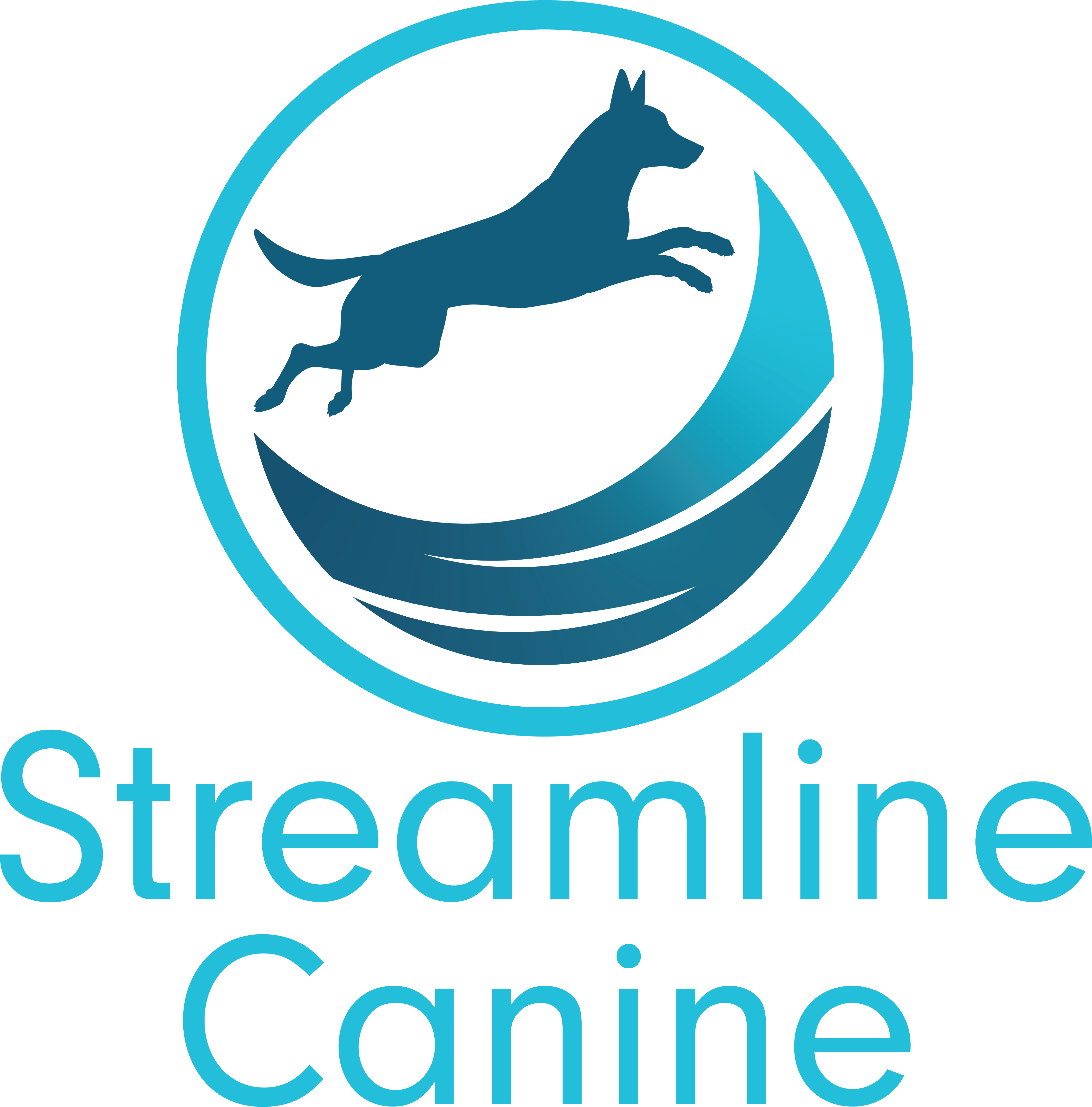 Dog Walking & Training